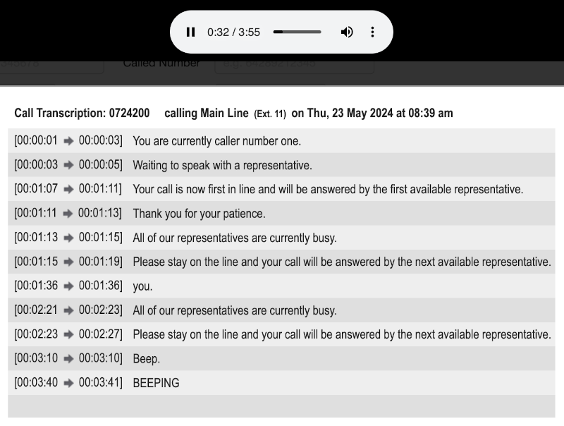 call transcription and summary screenshot